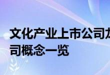 文化产业上市公司龙头有哪些文化产业上市公司概念一览