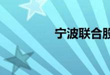 宁波联合股票表现怎么样
