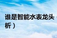 谁是智能水表龙头（智能水表价格行情走势分析）