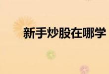 新手炒股在哪学 新手炒股在哪里开户