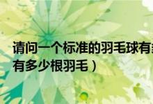 请问一个标准的羽毛球有多少根羽毛（一个标准的羽毛球上有多少根羽毛）