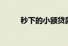 秒下的小额贷款（秒下款的小贷）