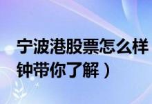 宁波港股票怎么样（宁波港盈利能力分析2分钟带你了解）