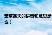 衰草连天的拼音和意思是什么（衰草连天的拼音和意思是什么）