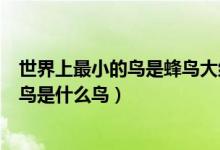 世界上最小的鸟是蜂鸟大约只有两克重对吗（世界上最小的鸟是什么鸟）
