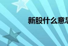 新股什么意思 新股什么意思 