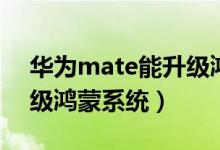 华为mate能升级鸿蒙吗（华为mate怎么升级鸿蒙系统）