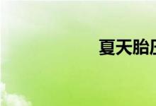  夏天胎压2.5正常吗 