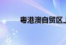 粤港澳自贸区上市公司有哪些（）