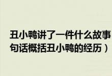 丑小鸭讲了一件什么故事（《丑小鸭讲了一个什么故事用四句话概括丑小鸭的经历）