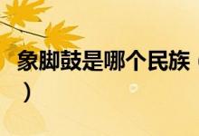 象脚鼓是哪个民族（象脚鼓是哪个民族的乐器）