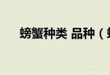 螃蟹种类 品种（螃蟹常见品种有哪些）