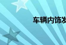  车辆内饰发霉是什么原因 