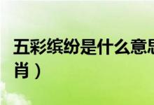 五彩缤纷是什么意思视频（五彩缤纷是什么生肖）
