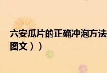 六安瓜片的正确冲泡方法详细（六安瓜片的正确冲泡方法（图文））