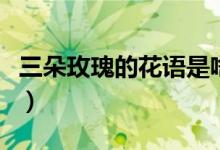 三朵玫瑰的花语是啥（三朵玫瑰的花语是什么）