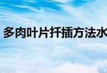 多肉叶片扦插方法水培（多肉叶片扦插方法）
