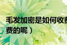 毛发加密是如何收费的呢（毛发加密是如何收费的呢）