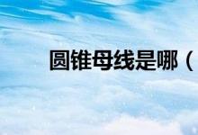 圆锥母线是哪（圆锥母线是什么线）