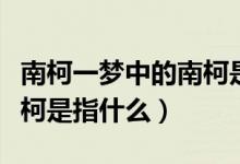 南柯一梦中的南柯是指什么（南柯一梦中的南柯是指什么）