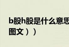 b股h股是什么意思（什么是A股B股和H股（图文））