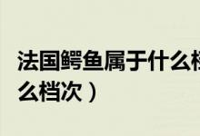 法国鳄鱼属于什么档次衣服（法国鳄鱼属于什么档次）