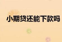 小期贷还能下款吗 小期贷有额度能下款吗