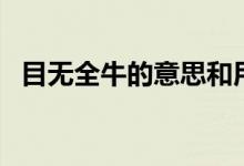 目无全牛的意思和用法（目无全牛的意思）