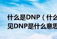 什么是DNP（什么是DNP 在NBA里经常看见DNP是什么意思）