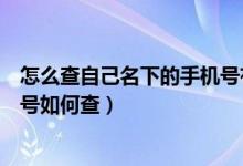 怎么查自己名下的手机号有几个（想查自己名下有几个手机号如何查）