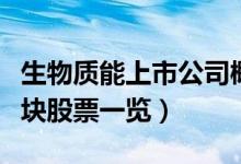 生物质能上市公司概念股有哪些（生物质能板块股票一览）