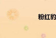 粉红豹（张惠春）