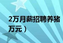 2万月薪招聘养猪（高材生“养猪”月薪超2万元）