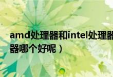 amd处理器和intel处理器哪个好（amd处理器和intel处理器哪个好呢）