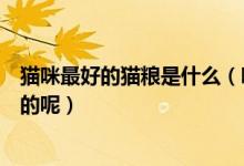 猫咪最好的猫粮是什么（哪些猫粮是属于十大天然猫粮里面的呢）