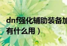 dnf强化辅助装备加什么（DNF强化辅助装备有什么用）