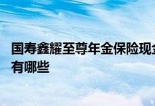 国寿鑫耀至尊年金保险现金价值 国寿鑫耀至尊保费缴纳方式有哪些