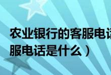 农业银行的客服电话是多少呢（农业银行的客服电话是什么）