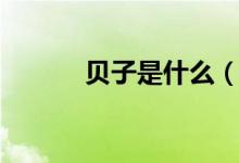 贝子是什么（贝子是什么爵位）