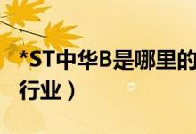 *ST中华B是哪里的企业（*ST中华B属于什么行业）