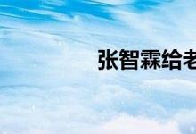  张智霖给老婆袁咏仪买包 