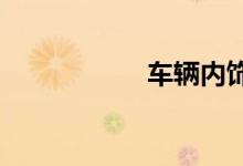  车辆内饰发霉怎么办 
