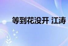 等到花没开 江涛（等到花儿没开江涛）
