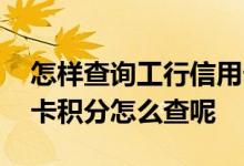怎样查询工行信用卡上的积分 请问工行信用卡积分怎么查呢