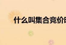 什么叫集合竞价时间 什么叫集合竞价