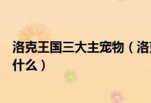 洛克王国三大主宠物（洛克王国魔法先锋队宠物十三只都叫什么）