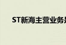 ST新海主营业务是什么（有什么特点）