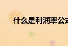 什么是利润率公式（什么是利率风险）