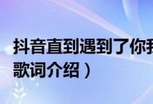 抖音直到遇到了你我只喜欢你是什么歌（完整歌词介绍）