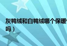 灰鸭绒和白鸭绒哪个保暖性好（白鸭绒和灰鸭绒保暖有区别吗）